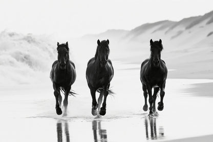 Coastal Horses - Wildlife Worlds