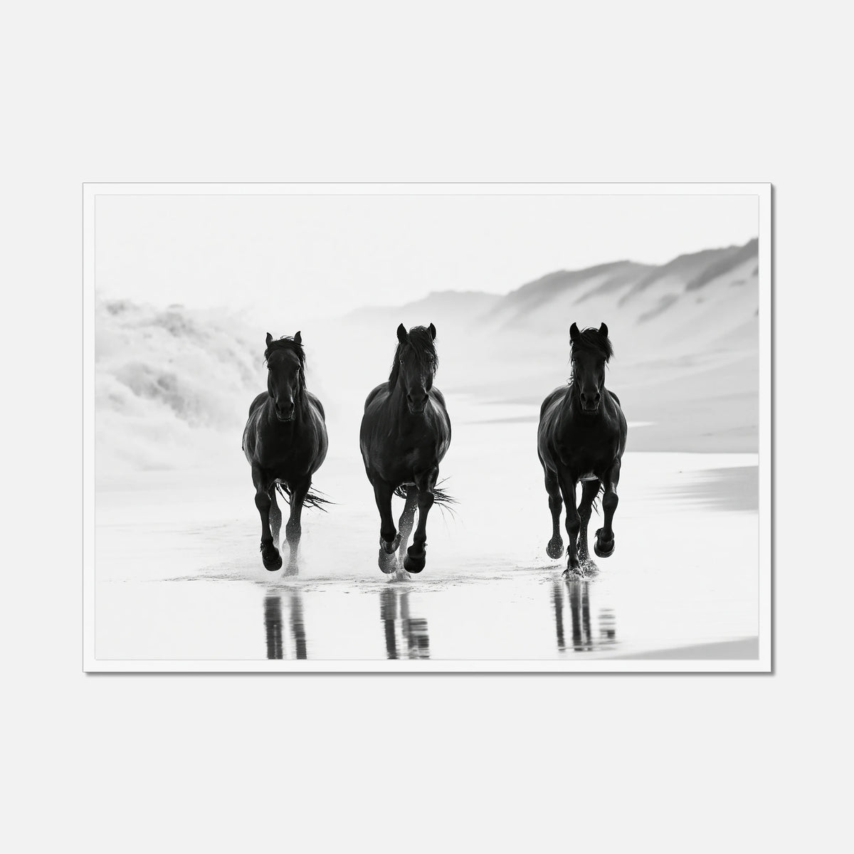 Coastal Horses - Wildlife Worlds
