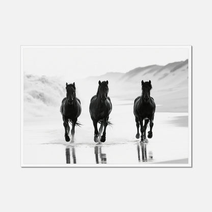 Coastal Horses - Wildlife Worlds