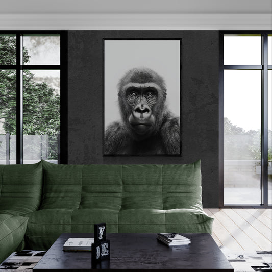 Ape - Monochrome Studio