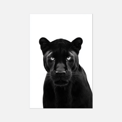 Black Panther - Monochrome Studio