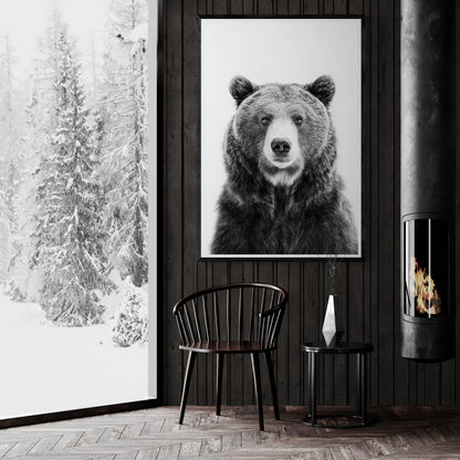 Brown Bear - Monochrome Studio