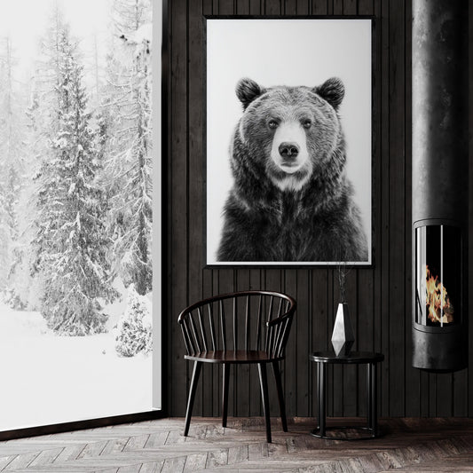 Brown Bear - Monochrome Studio