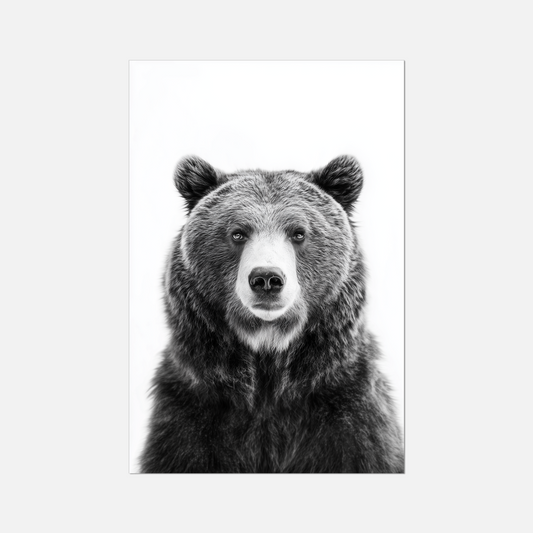 Brown Bear - Monochrome Studio