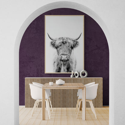 Highland Ox - Monochrome Studio