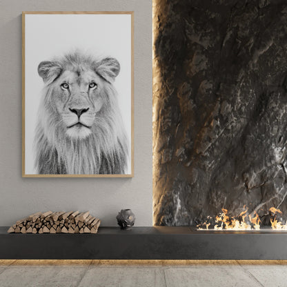 Lion - Monochrome Studio