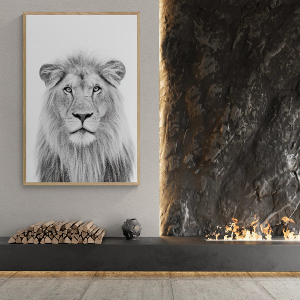 Lion - Monochrome Studio