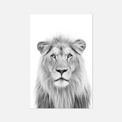 Lion - Monochrome Studio