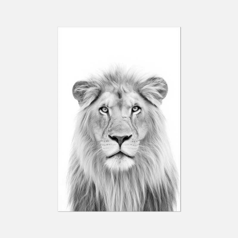 Lion - Monochrome Studio
