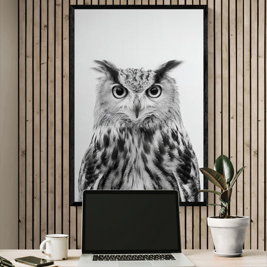 Owl - Monochrome Studio