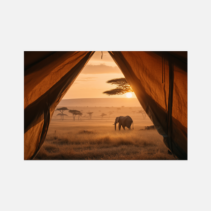Safari - Window Seat