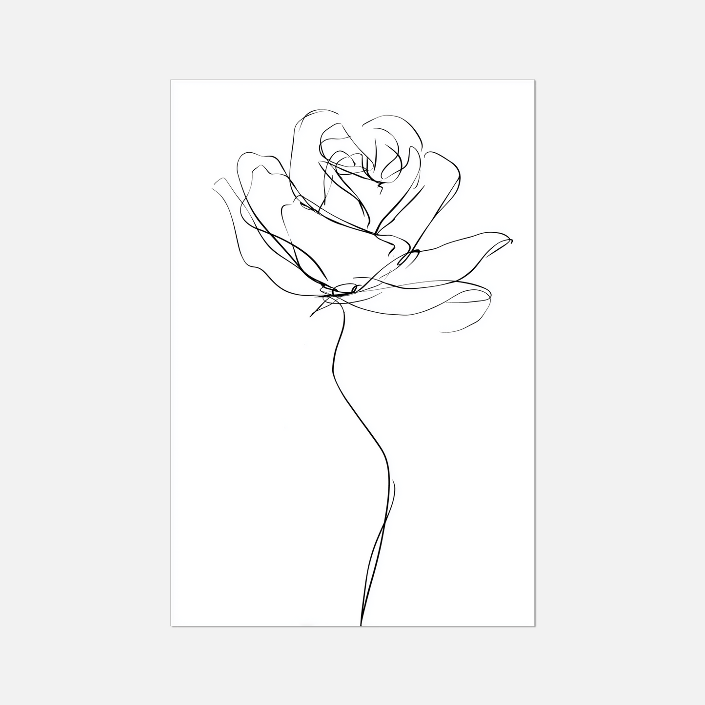 The Rose - Living Lines