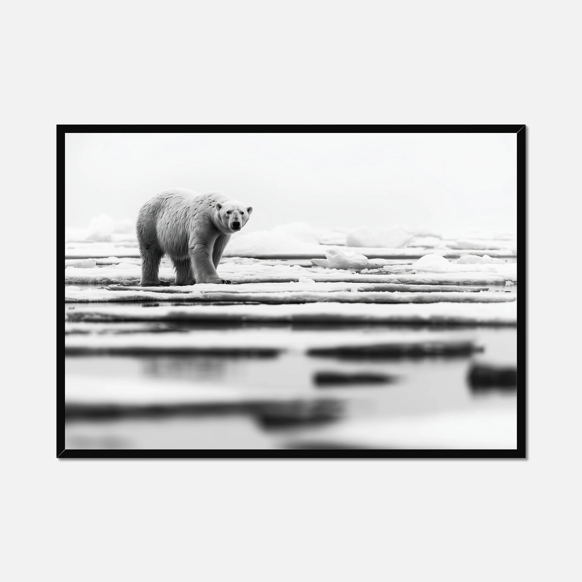 Iced Polar Bear - Wildlife Worlds