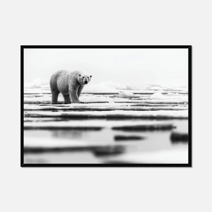 Iced Polar Bear - Wildlife Worlds