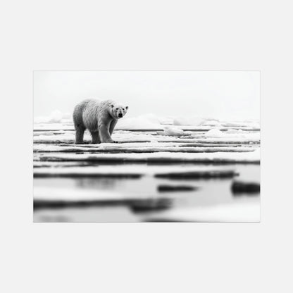 Iced Polar Bear - Wildlife Worlds