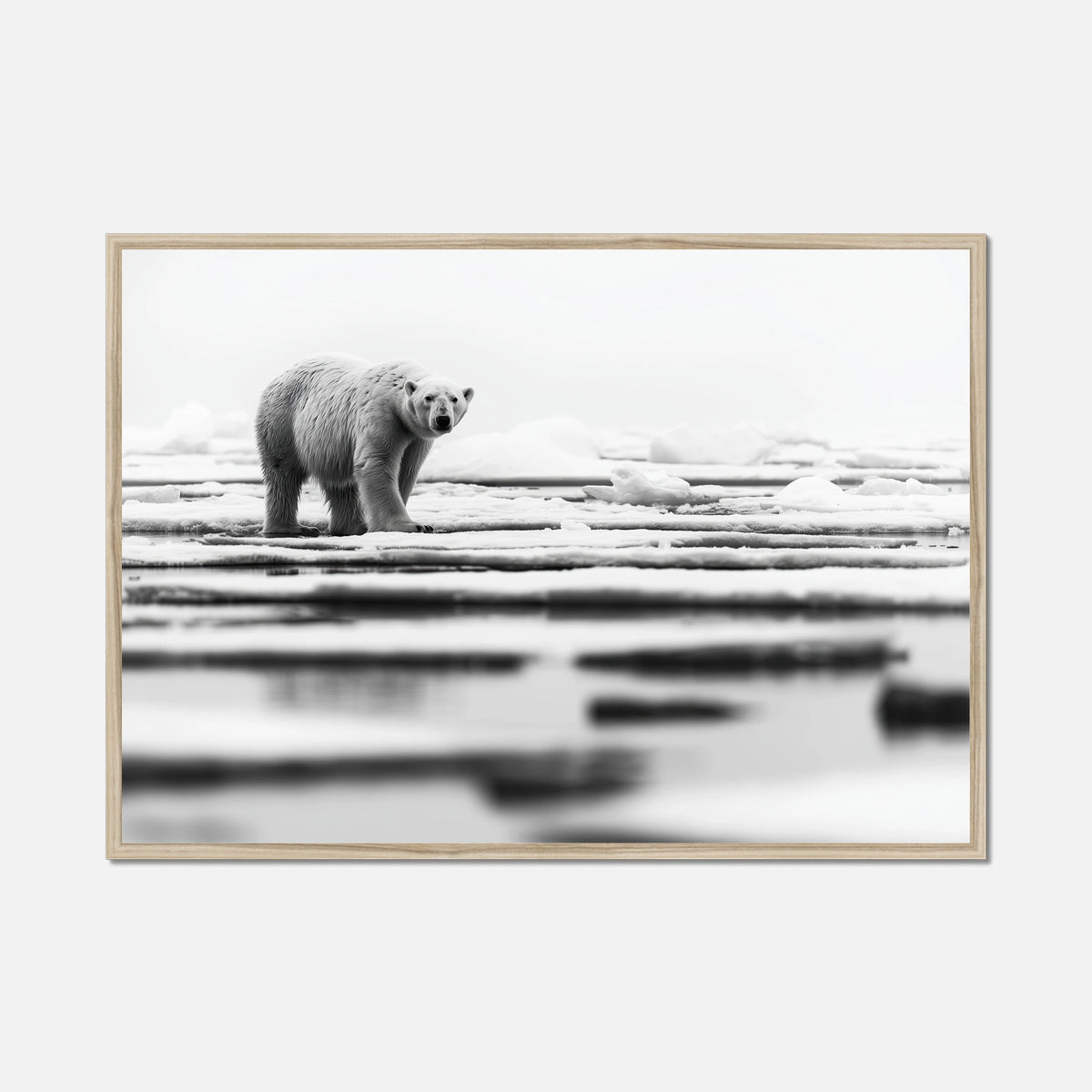 Iced Polar Bear - Wildlife Worlds