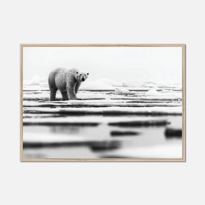 Iced Polar Bear - Wildlife Worlds