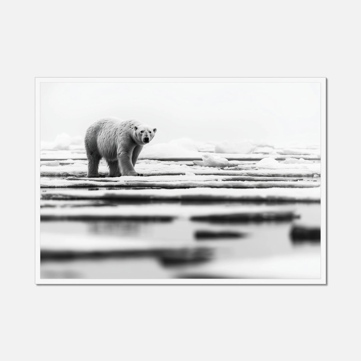 Iced Polar Bear - Wildlife Worlds