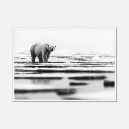 Iced Polar Bear - Wildlife Worlds