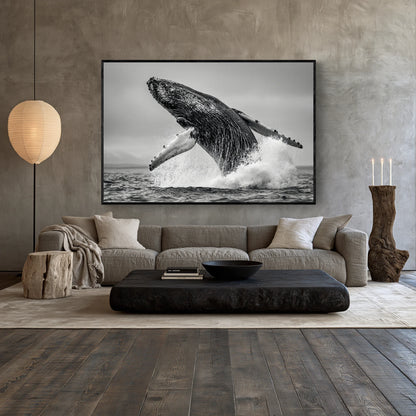 Oceanic Whale - Wildlife Worlds