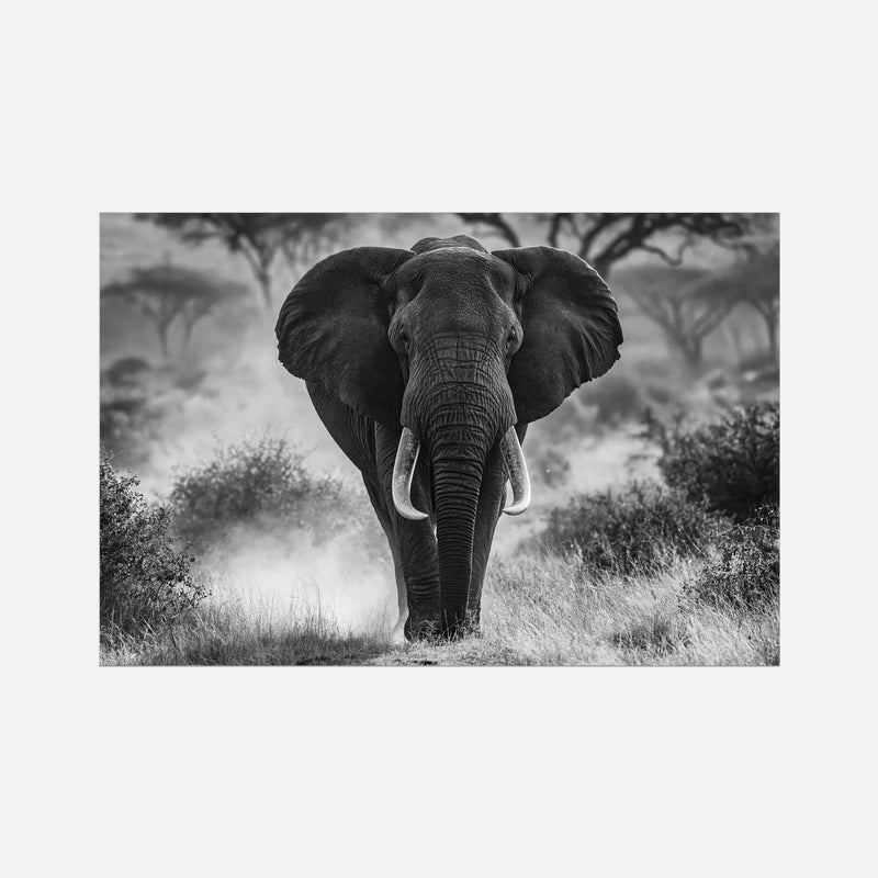 Safari Elephant - Wildlife Worlds